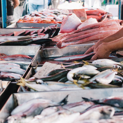 Numeri FAO: la guida semplice per leggere l’etichetta del pesce