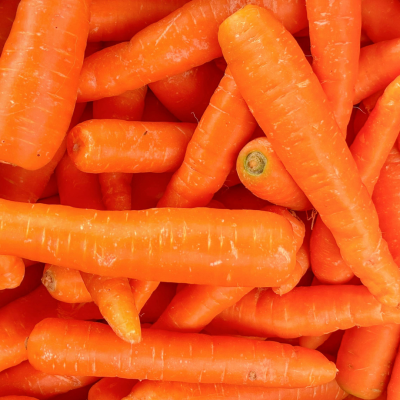 La Carota: Guida Completa tra Storia, Scienza e Salute