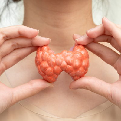 Hashimoto: e se la soluzione non fosse solo cosa mangi, ma quando mangi?