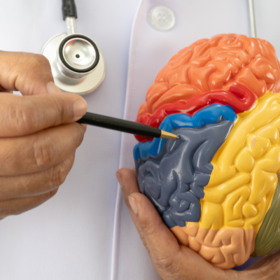 Digiuno Intermittente e Cervello: Prevenzione alle Malattie Neurodegenerative